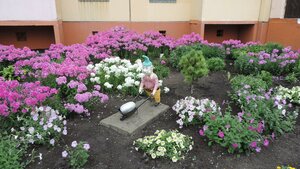 Molodogvardeyskaya ulitsa, 1/2, Omsk: photo