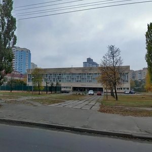 Киев, Бориспольская улица, 8: фото