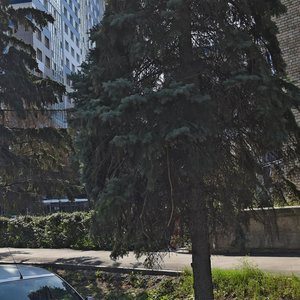 Molodogvardeyskaya Street, 141, Samara: photo