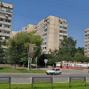 Naukova vulytsia, 74, Lviv: photo