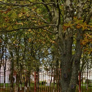 Piatra Gliebki Street, 88, Minsk: photo