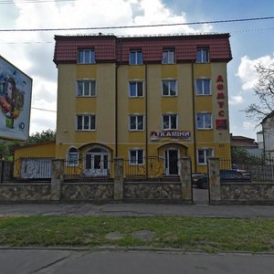 Horodotska vulytsia, 233, Lviv: photo