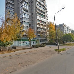 Vulytsia Sytova, 13Б, Zaporizhia: photo