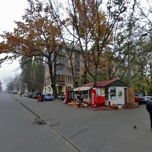 Oleksy Tykhoho Street, 32, : foto