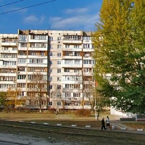 Heroiv Dnipra Street, 19, Kyiv: photo