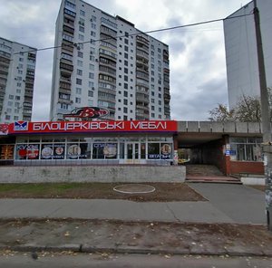 Andriia Malyshka Street, 25/1, Kyiv: photo