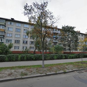 Petra Zaporozhtsia Street, 8, Kyiv: photo