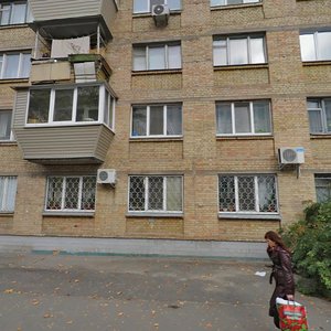 Simi Idzykovskykh Street, 2, Kyiv: photo