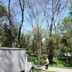 Krepostnaya ulitsa, 67, Anapa: photo