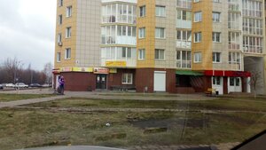 Zhukova Street, 5А, Stroitel: photo