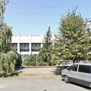 Zhibek Zholy Avenue, 111, Almaty: photo