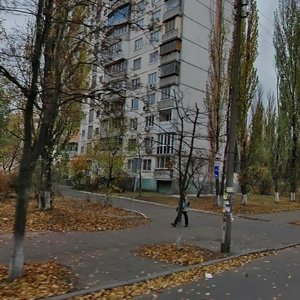 Sholom-Aleikhema Street, 14, Kyiv: photo