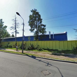 Dorozhnikov Street, 14, Kingisepp: photo