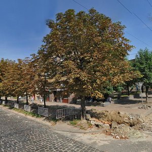 Lychakivska vulytsia, 161, Lviv: photo