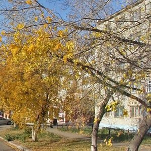 Yurina Street, 209, Barnaul: photo