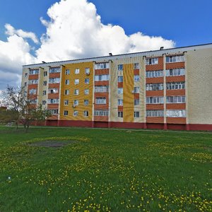 Lenina Street, 19, Stroitel: photo