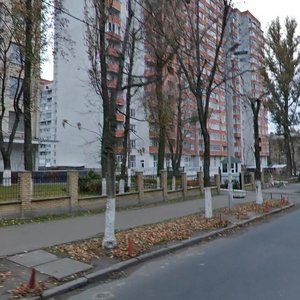 Volynska Street, 10, Kyiv: photo