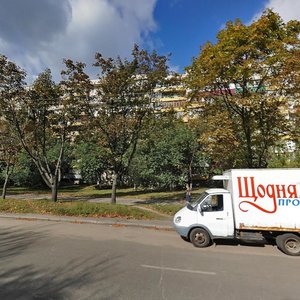 Svitlytskoho Street, No:30/20, Kiev: Fotoğraflar