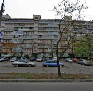 Raisy Okipnoi Street, 5, Kyiv: photo