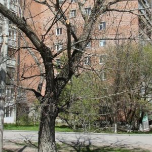 Vavilova Street, 4, Rostov‑na‑Donu: photo