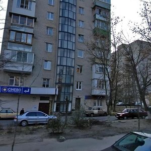 Profesora Pidvysotskoho Street, 6, Kyiv: photo