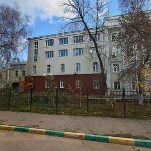 Chernyshevskogo Street, 22 ، نيجني نوفغورود: صورة