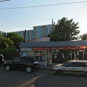 Abdullah Rozybakiev Street, 217, Almaty: photo