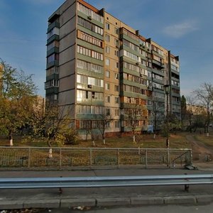 Heroiv Stalinhrada Avenue, 38, Kyiv: photo