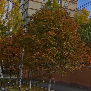 Tverskaya ulitsa, 51, : foto