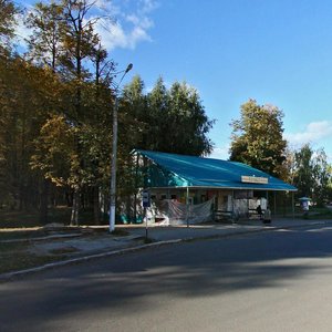 Зеленодольск, Улица Ленина, 68А: фото
