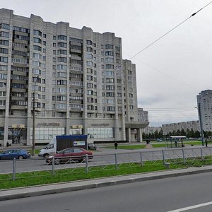 Novosmolenskaya Embankment, 1И ، سان بطرسبرغ: صورة