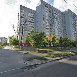 Robocha Street, 148, Dnipro: photo