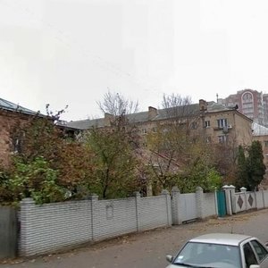 Oleksy Tykhoho Street, 24, Kyiv: photo