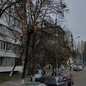 Peremohy Avenue, 15, Kyiv: photo
