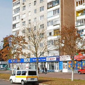 Vulytsia Rokosovskoho, 8 ، : صورة