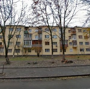 Mytrofana Dovnar-Zapolskoho Street, 3, : foto