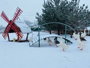 Pushkinskaya ulitsa, 2, Saint‑Petersburg and Leningrad Oblast: photo