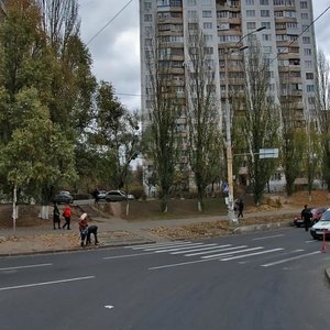 Zodchykh Street, 44, Kyiv: photo