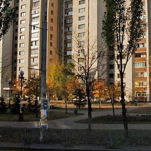 Marshala Tymoshenka Street, 18, Kyiv: photo