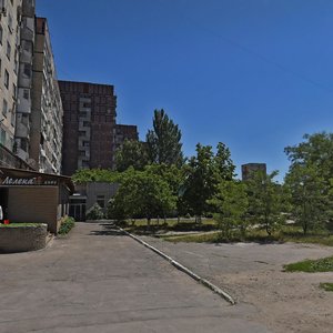 Vulytsia Bohomaza, 206, Dnipro: photo