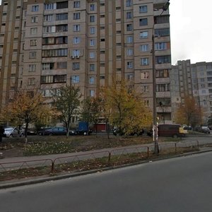 Kniazhyi Zaton Street, 13, Kyiv: photo