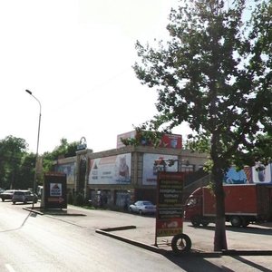 Raiymbek Avenue, 221, Almaty: photo