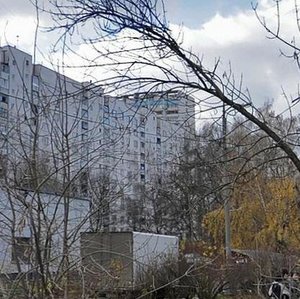 Stroginsky Boulevard, 7к1, Moscow: photo