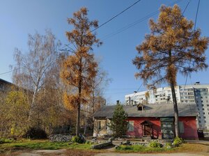 Ivanova Street, 31/2, Novosibirsk: photo