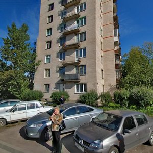 Novatorov Boulevard, 116, Saint Petersburg: photo