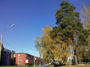 Tsvetnoy proyezd, 15 ، نوفوسيبيرسك: صورة