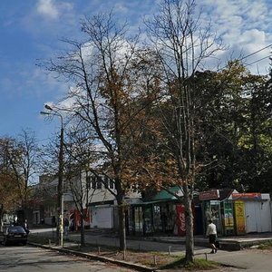 Polkovnyka Potiekhina Street, 12А ، كييف: صورة
