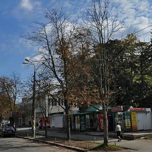 Polkovnyka Potiekhina Street, No:12А, Kiev: Fotoğraflar