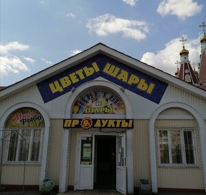 Sovetskaya ulitsa, 100 ، : صورة