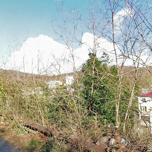 Сочи, Улица Дарвина, 97: фото